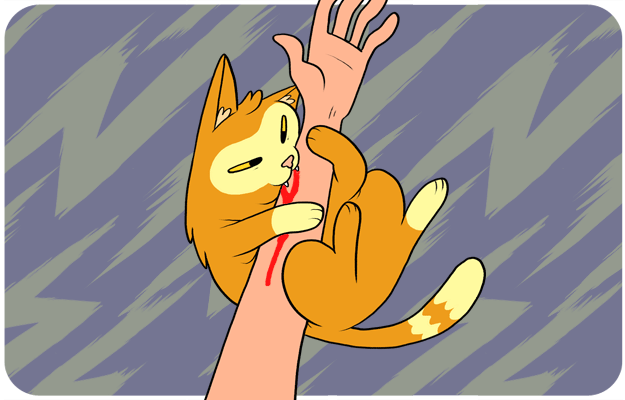 Kočka kousne ruku