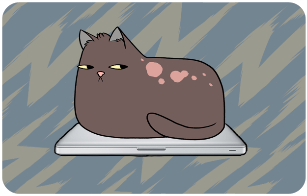 Kočka sedí na notebooku