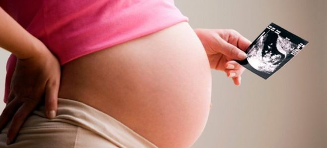 hmotnosti v 23. týdnu těhotenství