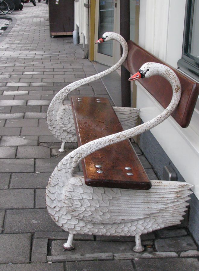 بجعة مقاعد البدلاء في أمستردام