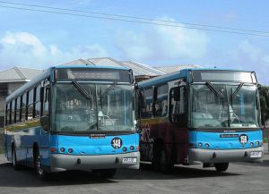 Modré autobusy jsou veřejné