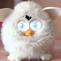 什么是Furby