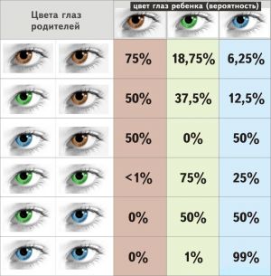 لون العيون في علم الوراثة عند الأطفال