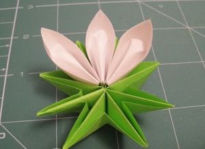 盛开的Kusudama electra pattern46