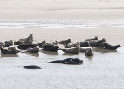 瓦登海国家公园