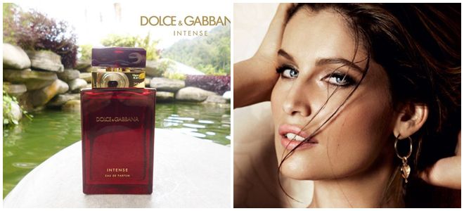 dolce gabbana激烈