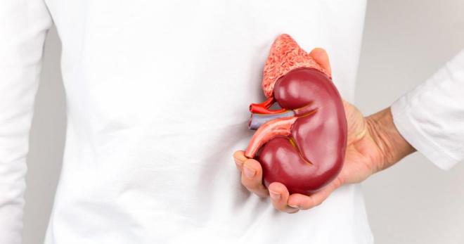 hydronephrosis من الكلى الصحيحة - كيف تلاحظ وعلاج هذا المرض في الوقت المناسب؟