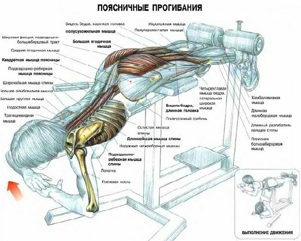 че люлее хиперекстензия