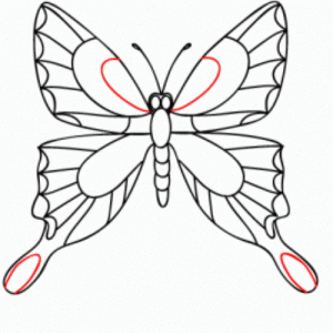jak nakreslit motýl 17