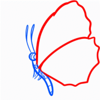 jak nakreslit motýl 20