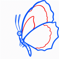 jak nakreslit motýl 21