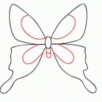 jak nakreslit motýl 12