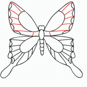 jak nakreslit motýl 15