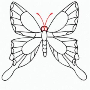 jak nakreslit motýl 16