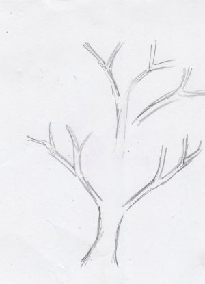 Jak nakreslit strom 10