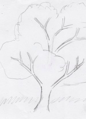 Jak nakreslit strom 11