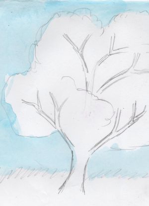 Jak nakreslit strom 12