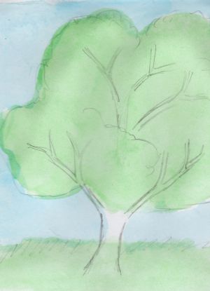 Jak nakreslit strom 13