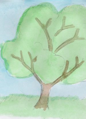 Jak nakreslit strom 14