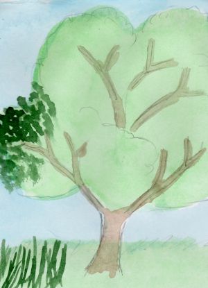 Jak nakreslit strom 15
