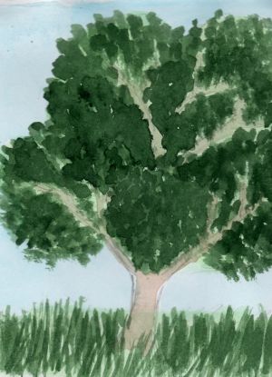 Jak nakreslit strom 16