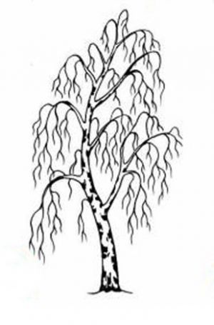 Jak nakreslit strom 4