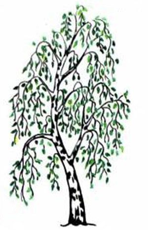 Jak nakreslit strom 5