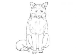 как да нарисувате лисица 7