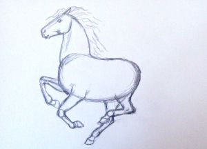 jak nakreslit koně v tužce krok za krokem 9