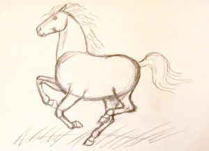 jak kreslit koně v tužce krok za krokem 10