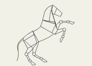 jak nakreslit koně v tužce krok za krokem 17