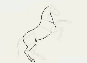 jak kreslit koně v tužce krok za krokem 18