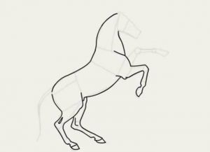 jak kreslit koně v tužce krok za krokem 19