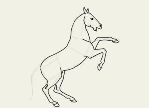 jak kreslit koně v tužce krok za krokem 20