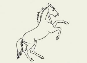 jak kreslit koně v tužce krok za krokem 21