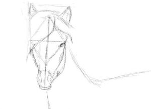 jak kreslit koně v tužce krok za krokem 24