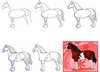 jak kreslit koně v tužce krok za krokem 3