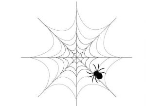 Как да нарисуваме паяк 14
