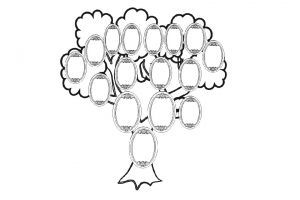 как да нарисуваме родословно дърво 9