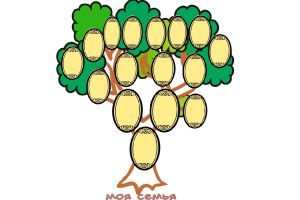 как да нарисуваме родословно дърво 11