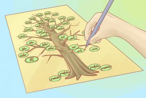 как да нарисуваме родословно дърво 6