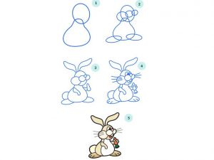 jak kreslit zajíce ve fázích 7