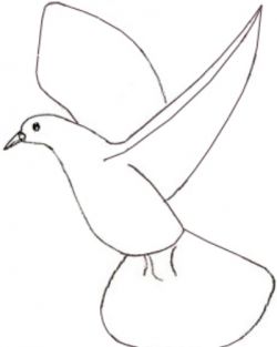Jak nakreslit holub v tužce ve stupních 3