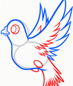 Jak nakreslit holub v tužce ve stupních 17