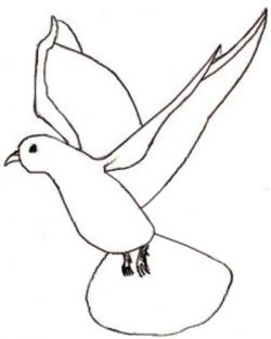 Krok za krokem Tužka kreslí holub pro děti 4