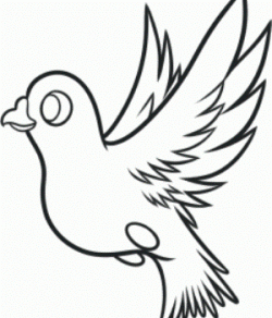 Jak nakreslit holub v tužce v etapách s dětmi 18