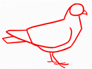 Jak nakreslit holub v tužce 19