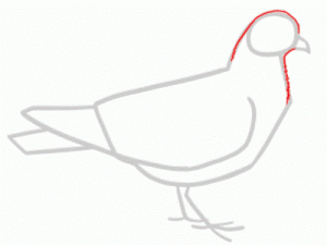 Jak nakreslit holub v holubě dětem 20