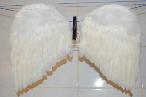 Křídla anděla s vlastními rukama9