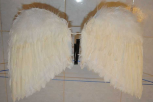 Křídla anděla s vlastními rukama10